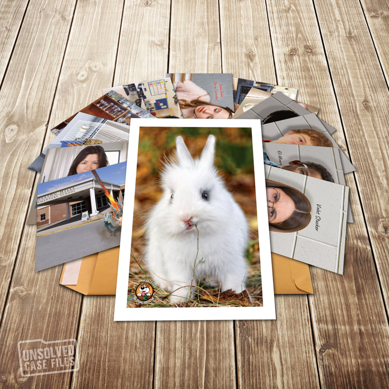 CSI Crime Scene Investigation Photographs for the Honey the Bunny family friendly cold case